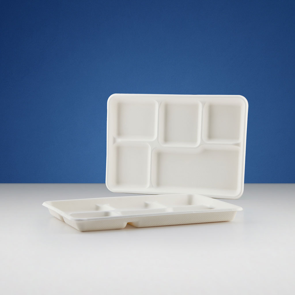 BIO DEGRADABLE COMPARTMENT TRAYS - Hotpack Packaging